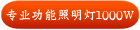 专业功能照明灯1000W