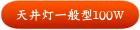天井灯一般型100W